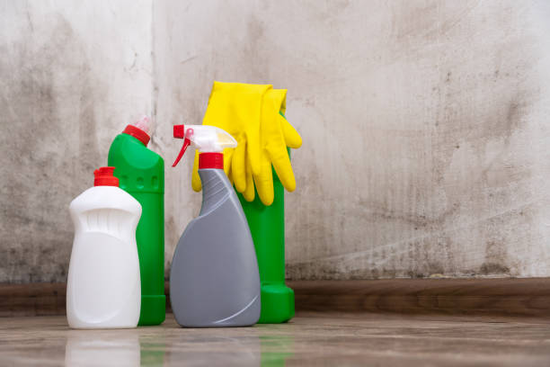 Mold Remediation for Rental Properties in Haskell, TX